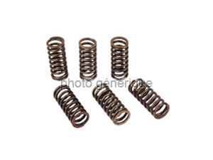 Ressorts de Variateur 30kg Ø50mm